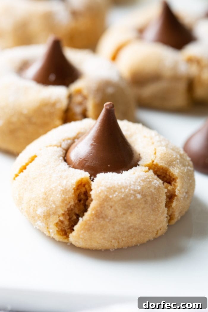A close-up view of a single Peanut Butter Blossom cookie, showcasing the sugar coating and the perfect placement of the Hershey's Kiss.