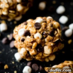 Protein No Bake S'mores Energy Bites