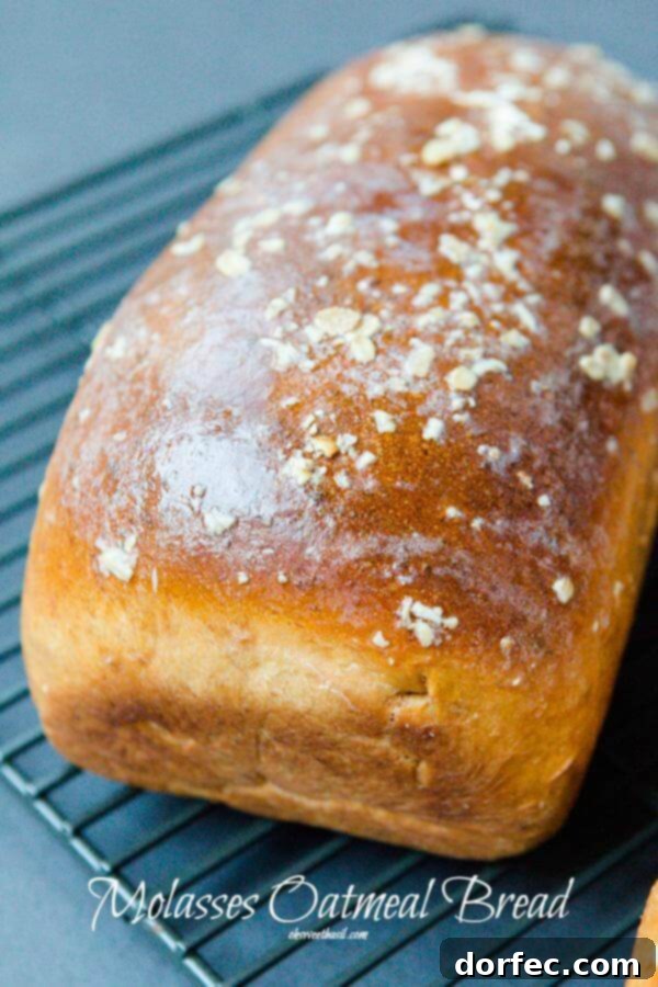 Molasses Oatmeal Bread, or in other words, the bread that will change your life. ohsweetbasil.com