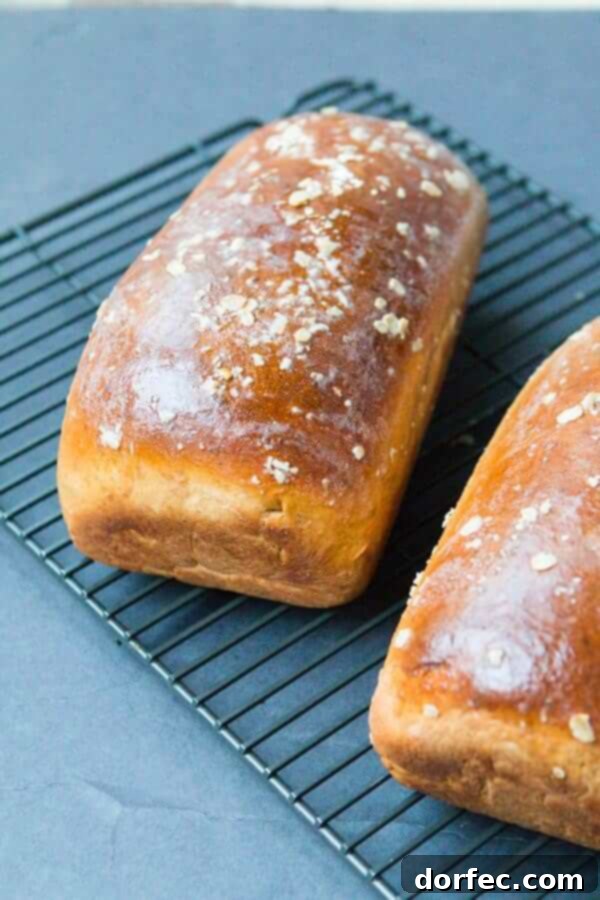 Our family loves this easy homemade molasses oatmeal bread recipe ohsweetbasil.com