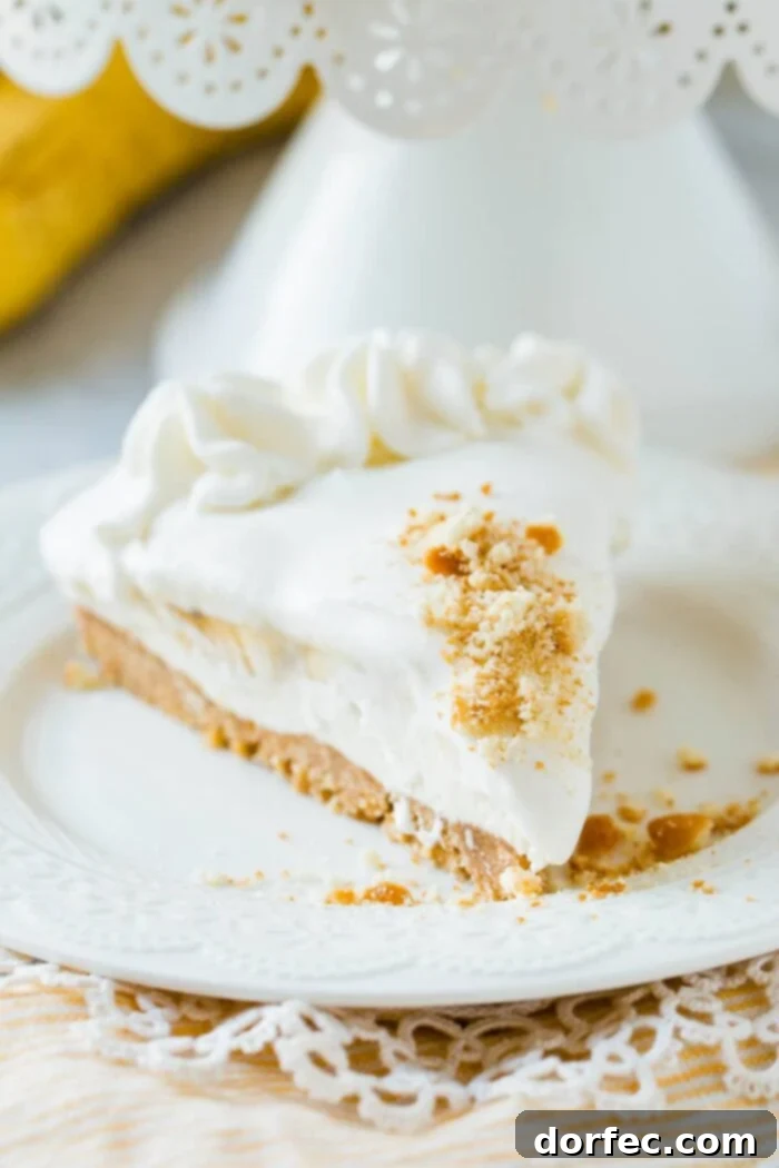 No bake banana pudding cheese on a sweet vanilla wafer crust and absolutely no oven involved. ohsweetbasil.com