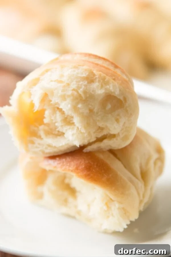 Our famous, easy-to-make potato rolls recipe, known for being incredibly soft and fluffy with no kneading required.