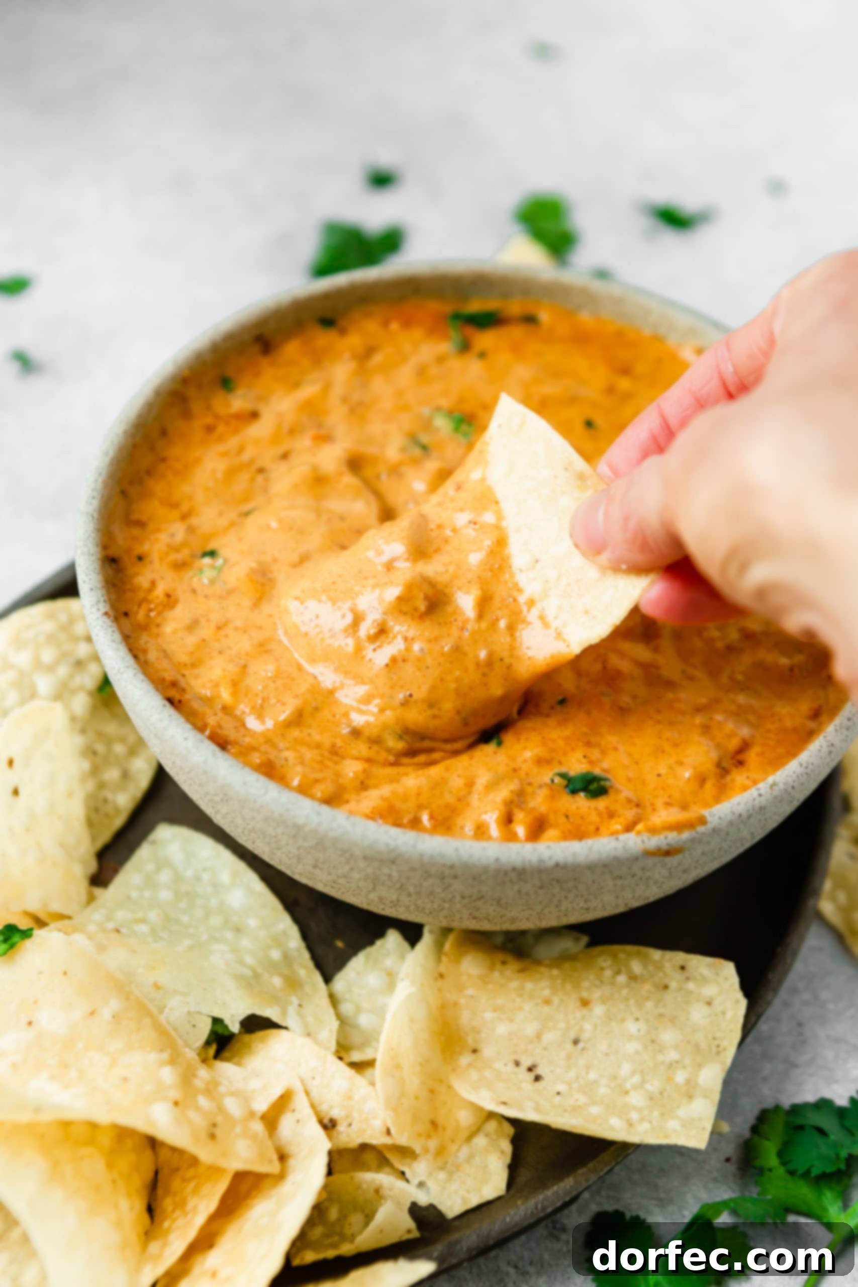Chili’s Queso Dip A bowl of queso dip. It is thick and cheesy and a tortilla chip is being dipped into the queso dip.