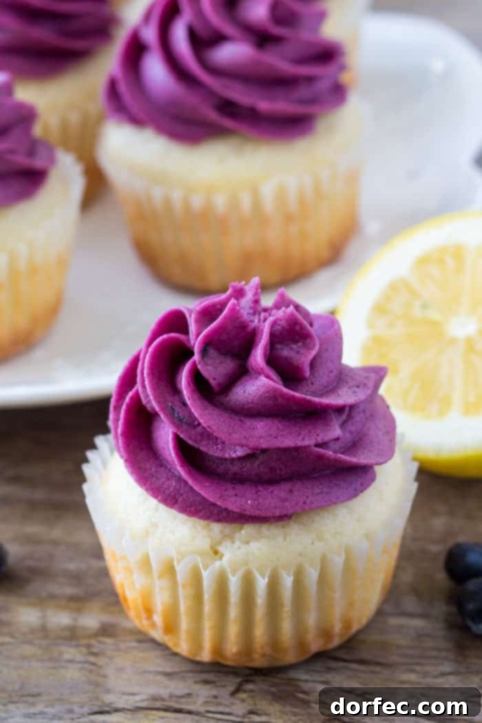 Sunshine Lemon Blueberry Cupcakes 2 Moist lemon cupcakes with fluffy blueberry frosting, arranged beautifully on a plate with more cupcakes and fresh lemons in the background.