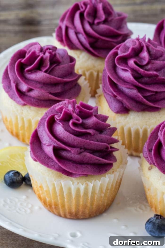 Sunshine Lemon Blueberry Cupcakes 3 A beautifully arranged plate of moist lemon blueberry cupcakes, topped with vibrant blueberry frosting.