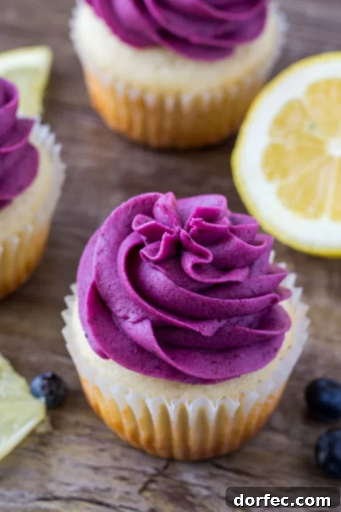 Sunshine Lemon Blueberry Cupcakes 5 Delicious lemon blueberry cupcakes featuring moist cake and creamy, natural blueberry frosting, perfect for any celebration.