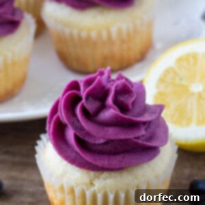 Moist lemon cupcake topped with blueberry frosting with a a plate of lemon blueberry cupcakes in the background.