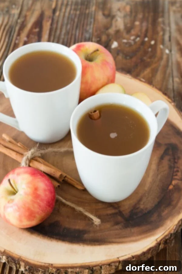 Karen's FAMOUS wassail recipe ohsweetbasil.com