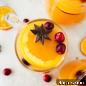 a photo taken over the top of a glass mug full of bright orange homemade wassail topped with floating whole cranberries and star anise