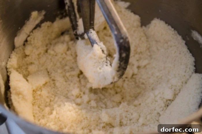 A stand mixer bowl features a sandy mixture of softened butter and dry ingredients. The paddle attachment has expertly blended them together, creating the perfect base for a light, fluffy, and tender cake.