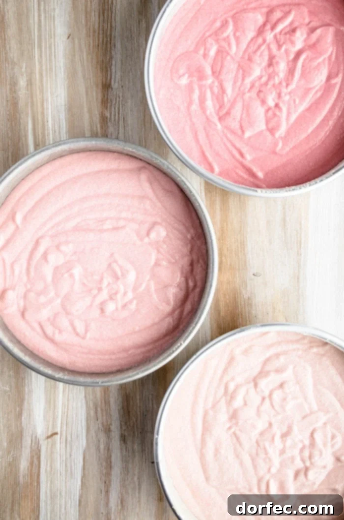 Three cake pans filled with vibrant cake batter are arranged in a stunning gradient of pink hues, showcasing the beautiful ombre effect that will soon transform into a deliciously striking cake.