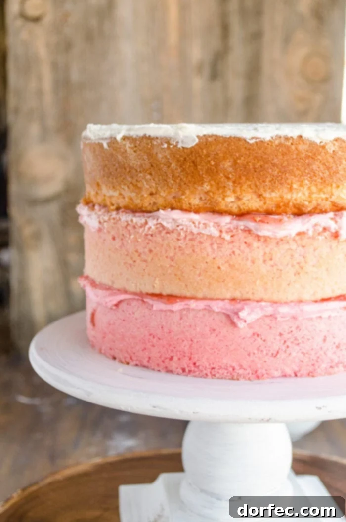 A raised cake dish showcases a stunning three-layer naked cake, with each layer and its corresponding frosting transitioning to lighter shades as it ascends.