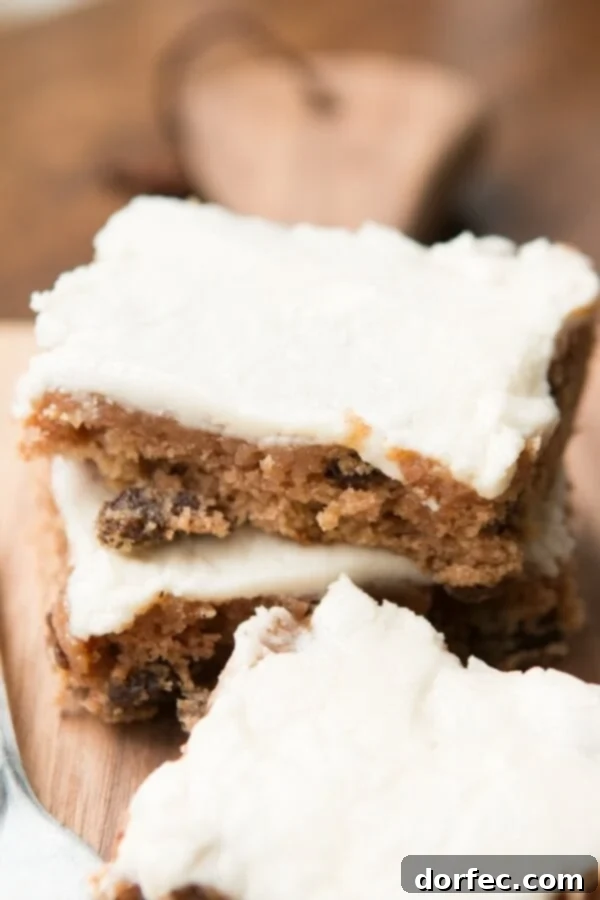 Rich and Moist Raisin Cookie Cake Bars