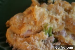 Hearty Chicken Curry Casserole dish, freshly baked