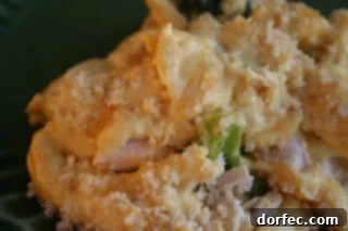 Golden brown Chicken Curry Casserole, freshly baked