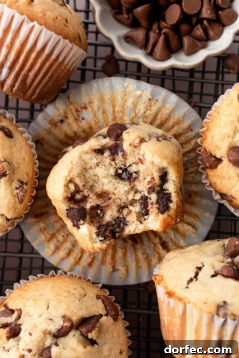 Bakery Style Chocolate Chip Muffins 2 A warm chocolate chip cookie muffin, half-eaten, resting on its side amidst a scattering of whole, perfectly baked muffins, inviting a taste.