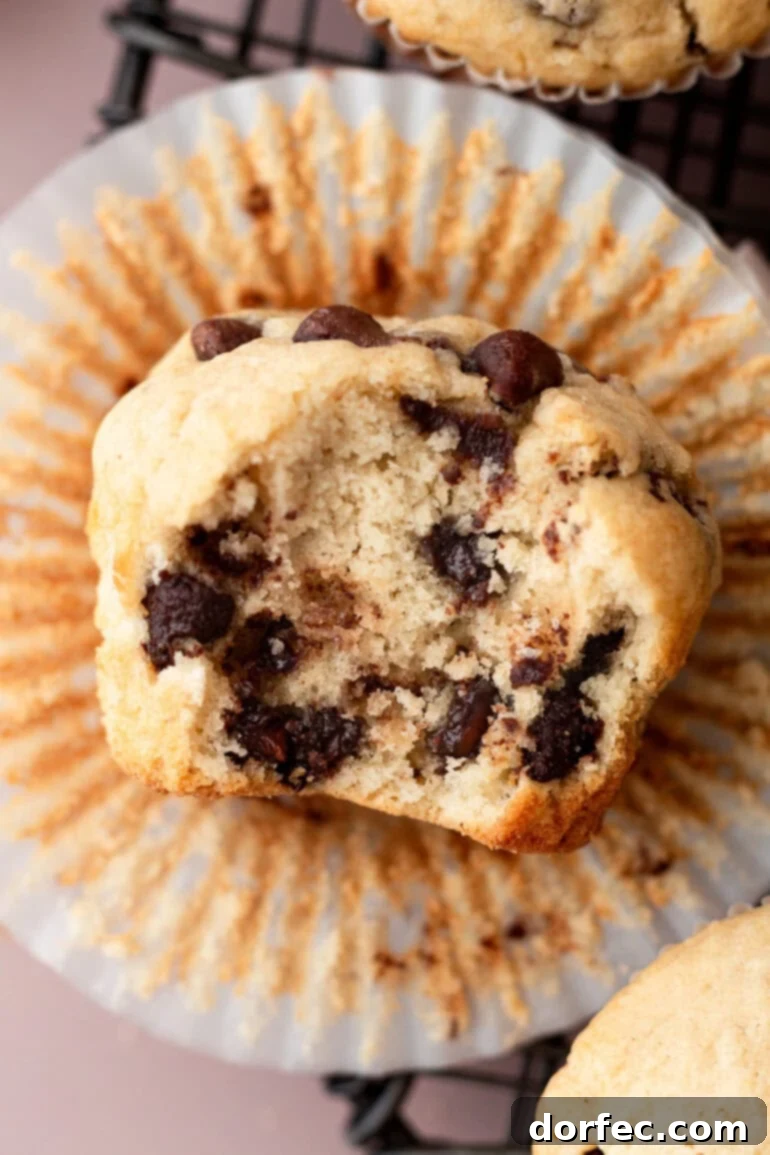 Bakery Style Chocolate Chip Muffins 11 A half-eaten chocolate chip cookie muffin lying on its side, showcasing its tender crumb and melted chocolate, next to an open paper liner.