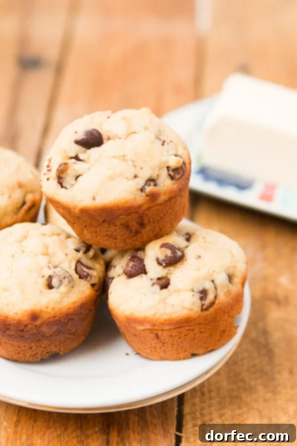 These are awesome!!! Chocolate Chip Cookie Muffins ohsweetbasil.com Chocolate Chip Cookie Muffins are a delicious blend of two favorite treats, perfect for any time of day.