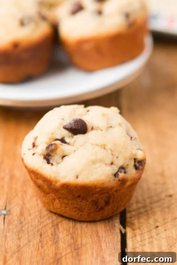 These are awesome!!! Chocolate Chip Cookie Muffins ohsweetbasil.com Golden-baked chocolate chip cookie muffins with gooey chocolate pockets – an irresistible treat for the whole family.