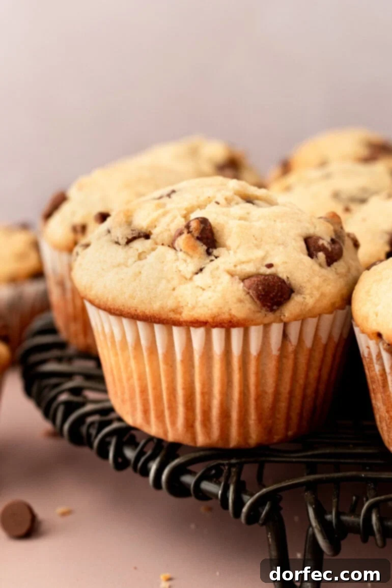 Bakery Style Chocolate Chip Muffins 4 A beautifully golden-baked chocolate chip muffin, still nestled in its paper liner, sits on a white serving platter surrounded by other tempting muffins.