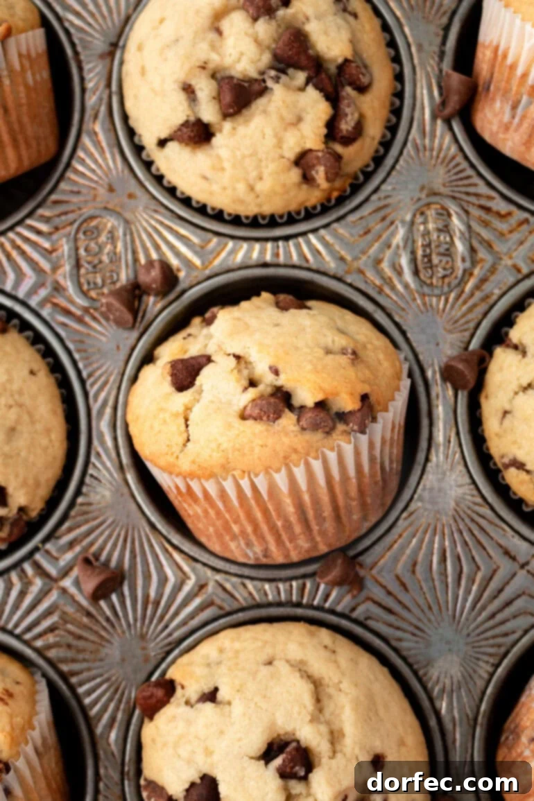 Bakery Style Chocolate Chip Muffins 10 A muffin tin filled with perfectly baked chocolate chip cookie muffins, with one muffin playfully tilted on its side, showing off its golden crust.