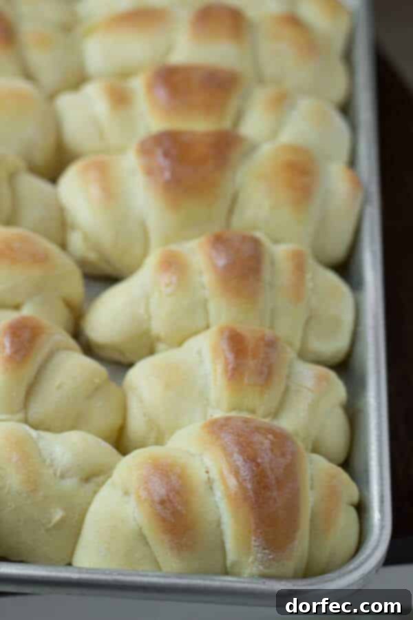 Mom's Ultimate Easy Slow Cooker Stew 6 World's best homemade rolls, ideal for a comforting stew meal.
