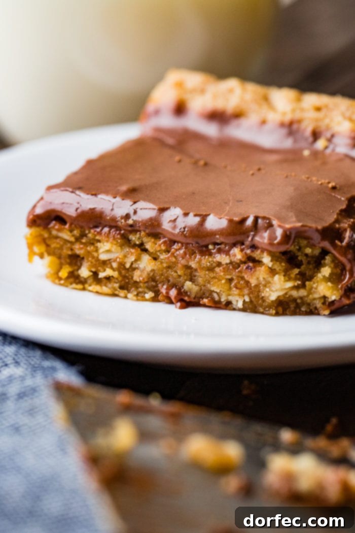 A solitary chocolate peanut butter bar, impeccably frosted, presented on a pristine white plate.