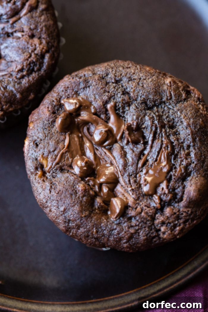 A close-up of a Nutella stuffed chocolate banana muffin, showing the rich chocolate chips