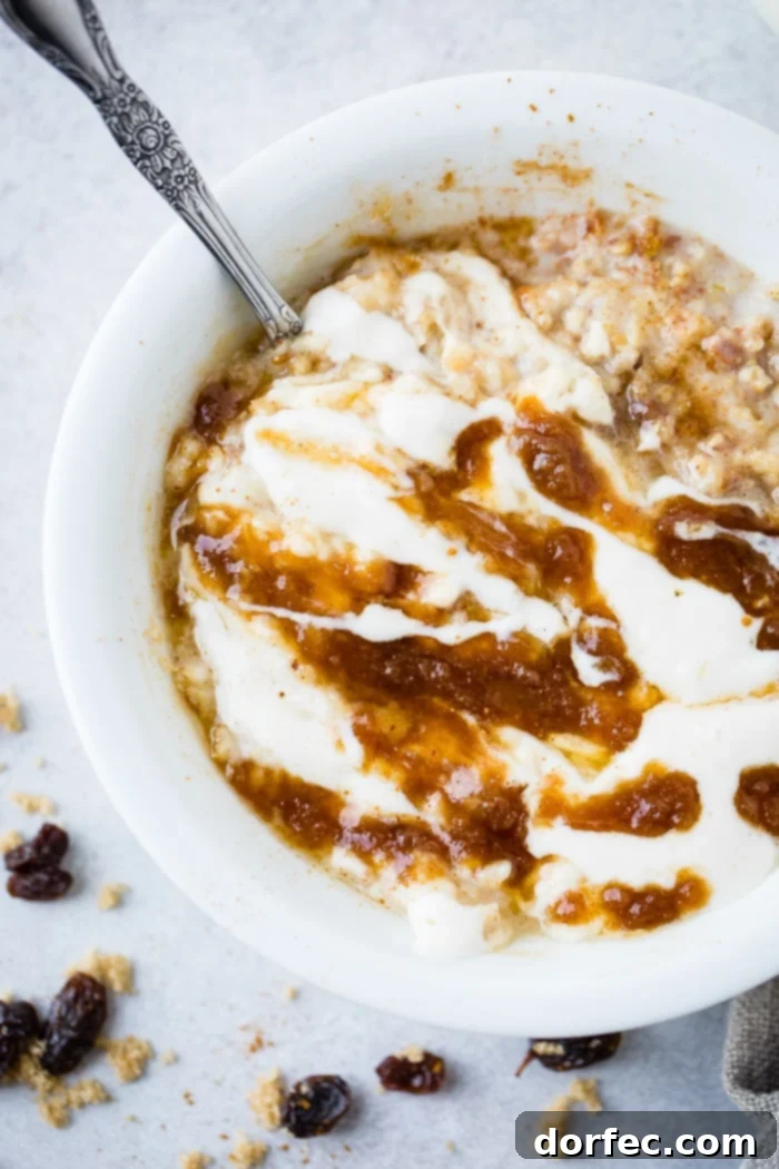 A second view of a bowl of lightened up cinnamon roll oatmeal, artistically arranged with brown sugar, cinnamon, and raisins, and drizzled with a rich cinnamon filling and a creamy glaze.