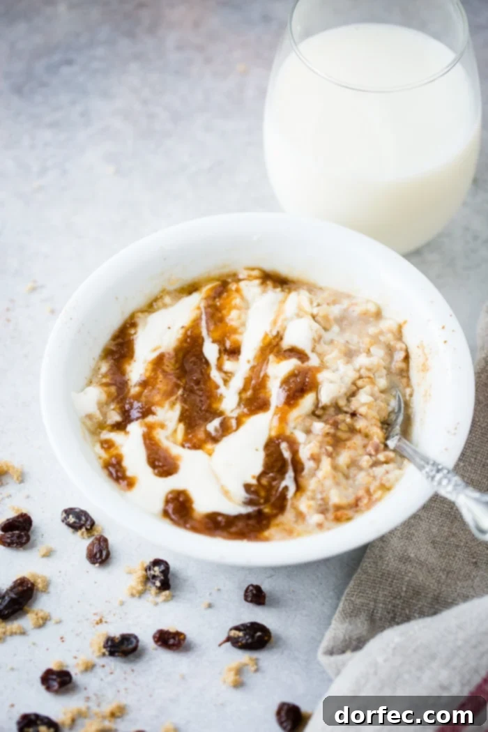 Another enticing angle of the Lightened Up Cinnamon Roll Oatmeal, highlighting the interplay of the ingredients and the inviting texture, with decorative brown sugar, cinnamon, and raisins.