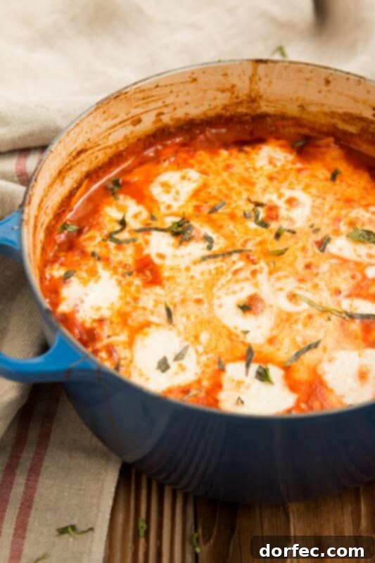 One pot lasagna pasta, the best one pot recipe ever! ohsweetbasil.com