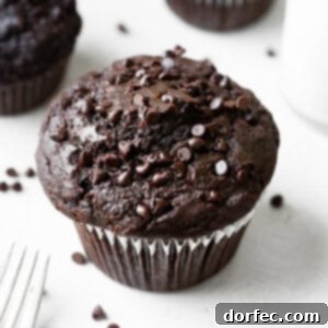 A freshly baked, appetizing double chocolate zucchini muffin, garnished with chocolate chips, ready for serving.