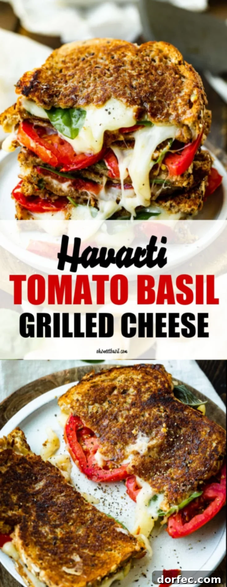 A close-up of a stack of golden-brown grilled cheese sandwiches, generously filled with melted Havarti cheese, sliced tomatoes, and fresh basil, inviting you to take a bite.