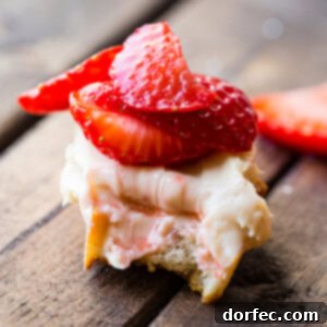 Golden Brown Sugar Strawberry Crostini 8 Finished Brown Sugar Strawberry Crostinis