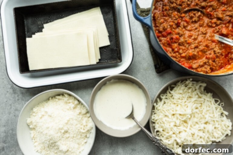 a photo of all the ingredients for homemade lasagna, lasagna noodles, meaty tomato sauce, a bowl of mozzarella, bechamel sauce and parmesan cheese