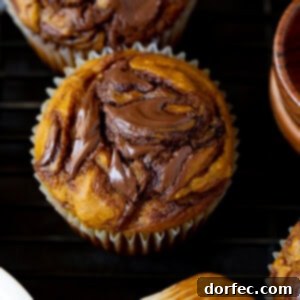 Decadent Nutella Pumpkin Swirl Muffins 2 A Nutella Swirled Pumpkin Muffin ready to be enjoyed.