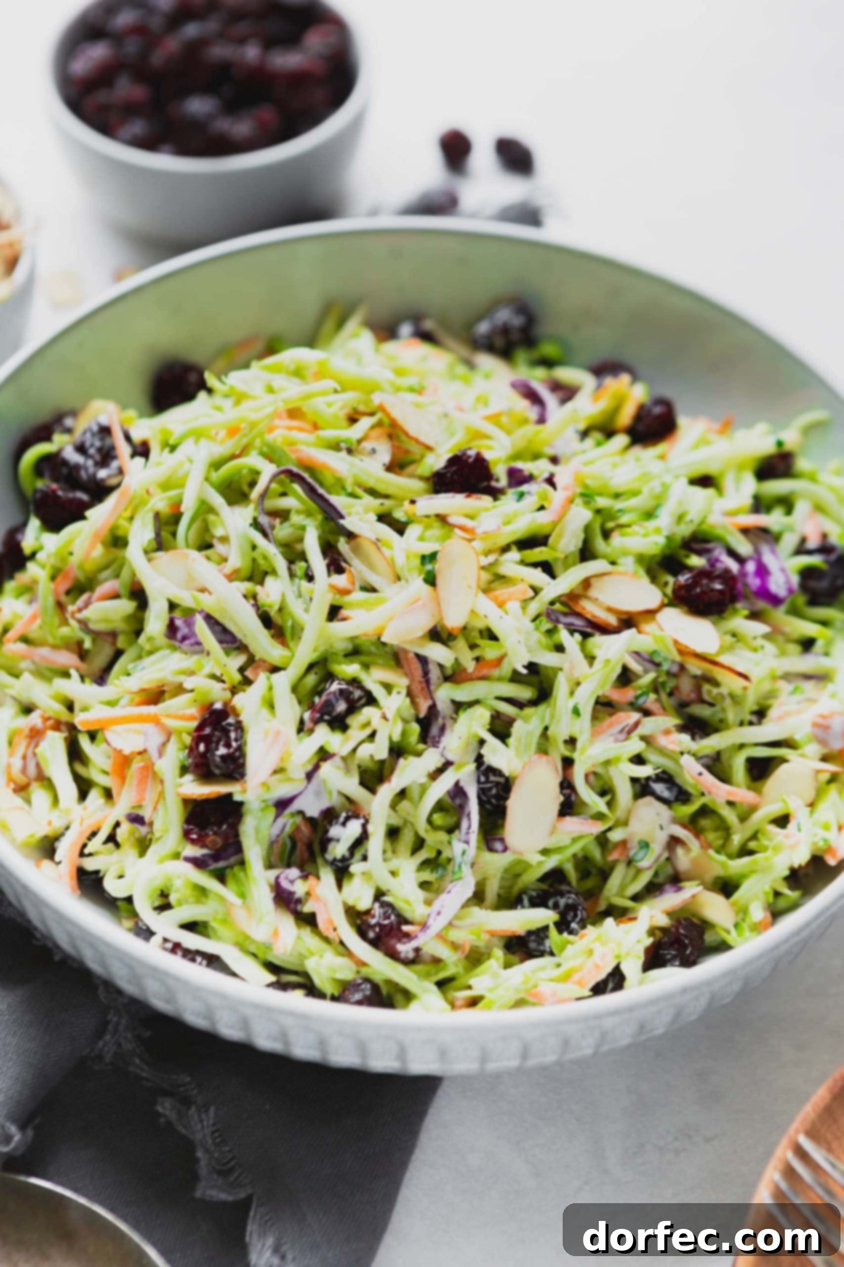 A photo of broccoli slaw in a big white ceramic bowl with sliced almonds on top.