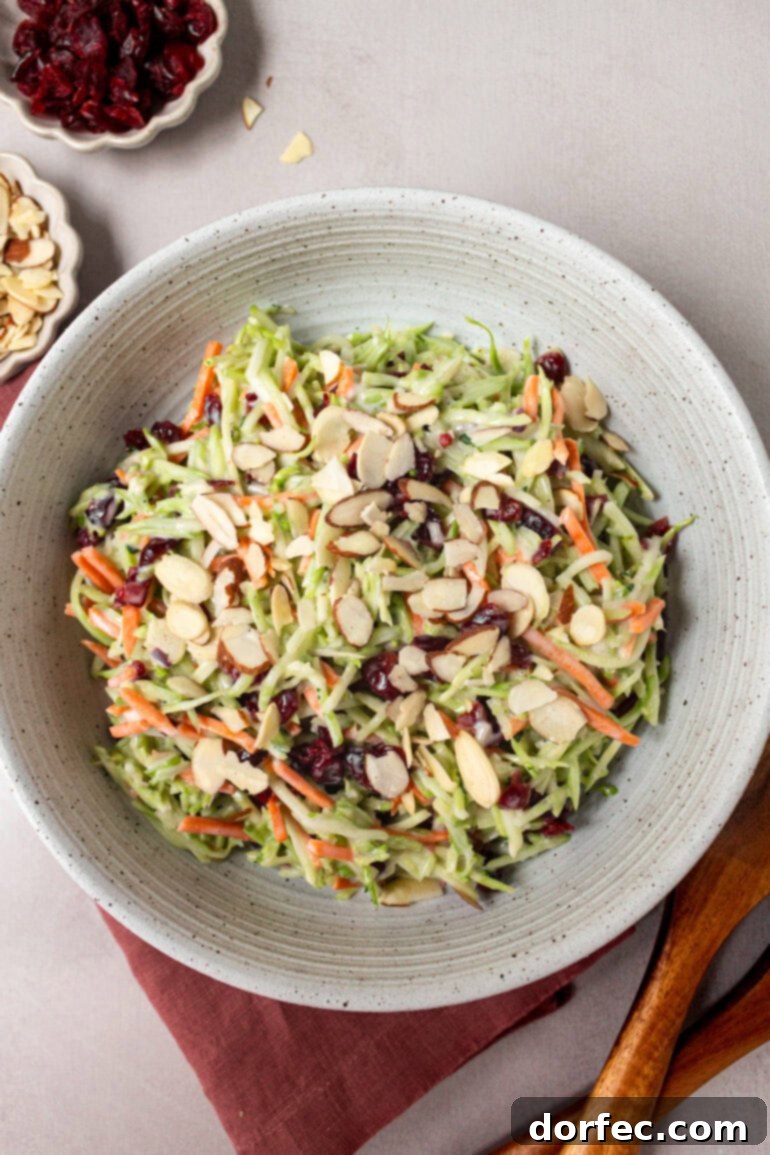 A plate generously filled with colorful broccoli slaw, featuring shredded broccoli, carrots, sliced almonds, and craisins, all mixed in a creamy dressing.