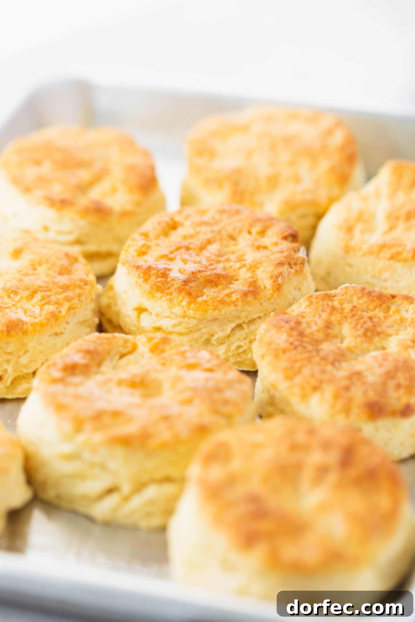 A pan full of golden brown buttermilk biscuits, freshly baked and ready to serve.