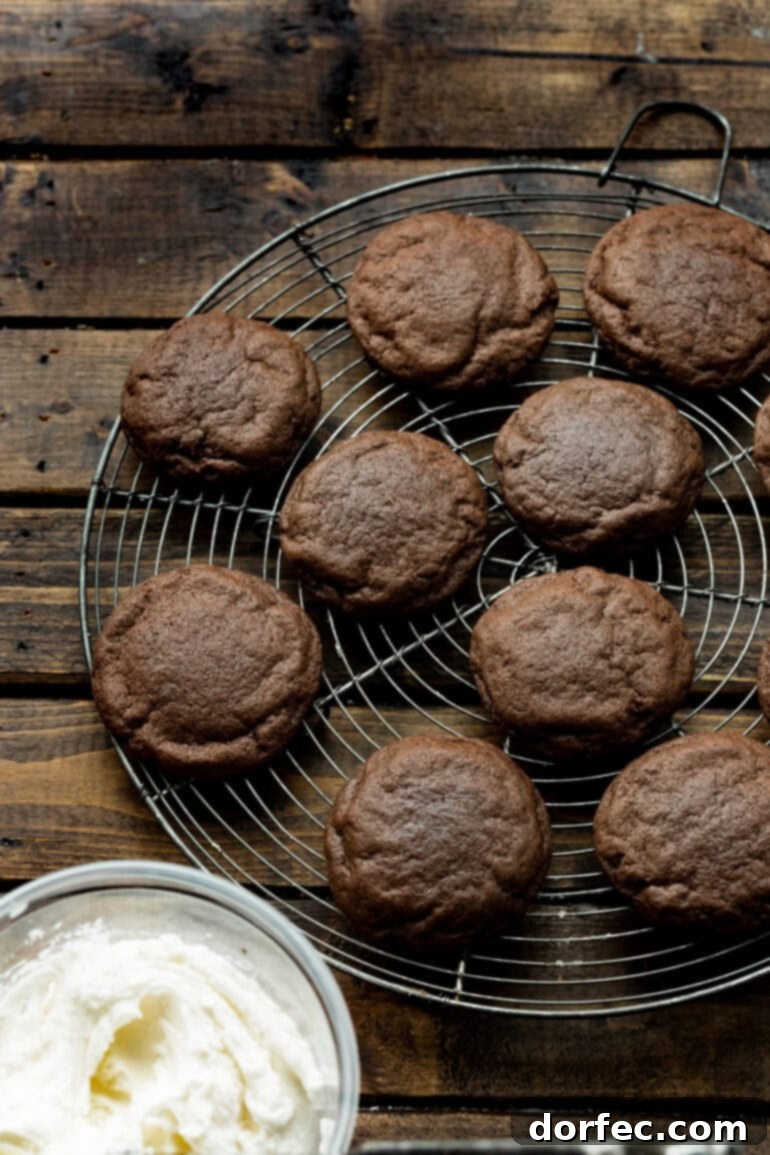 A vibrant, overhead shot of multiple homemade Oreo cookies arranged on a platter, highlighting their perfect round shape and dark color.