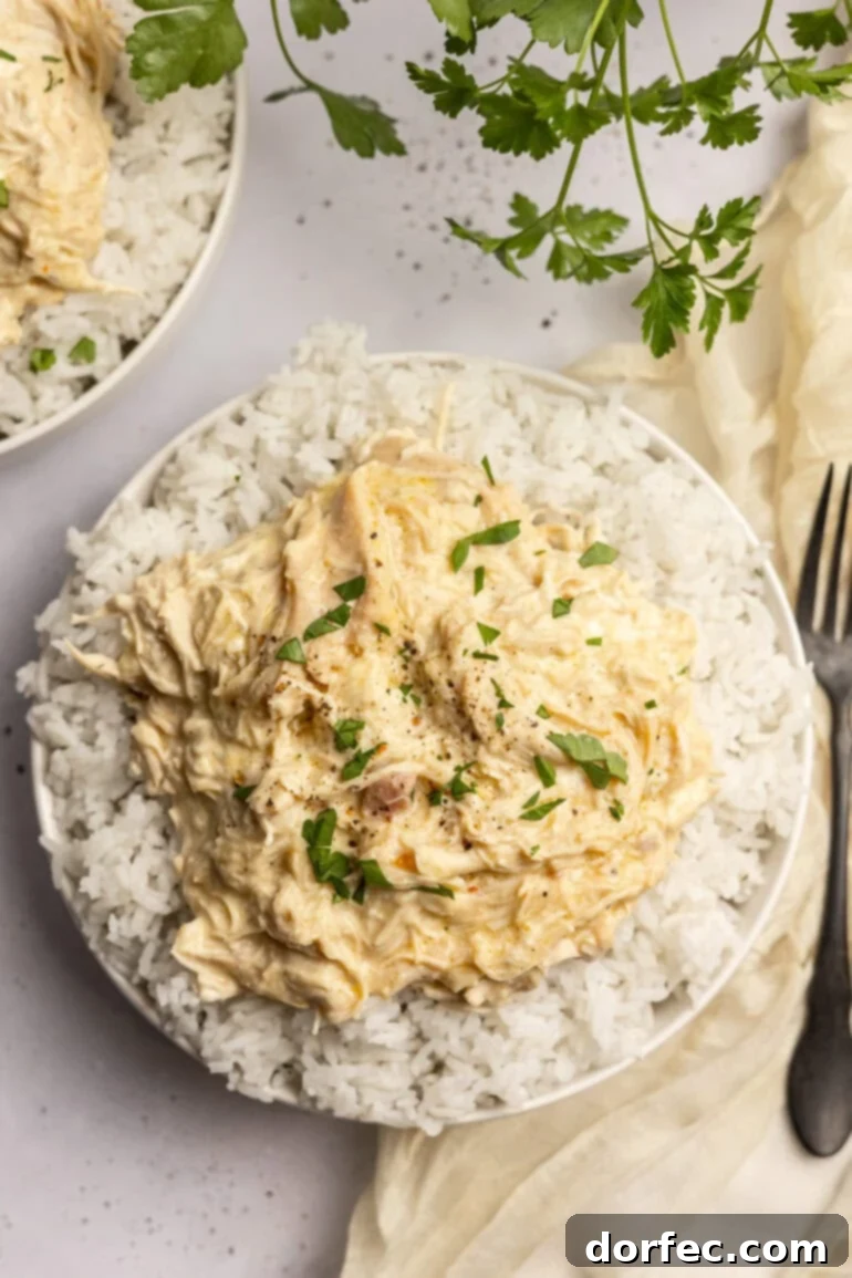 Easy 6-Ingredient Crockpot Chicken and Rice 2 Overhead shot of shredded chicken served over rice in a white bowl with fresh herbs.