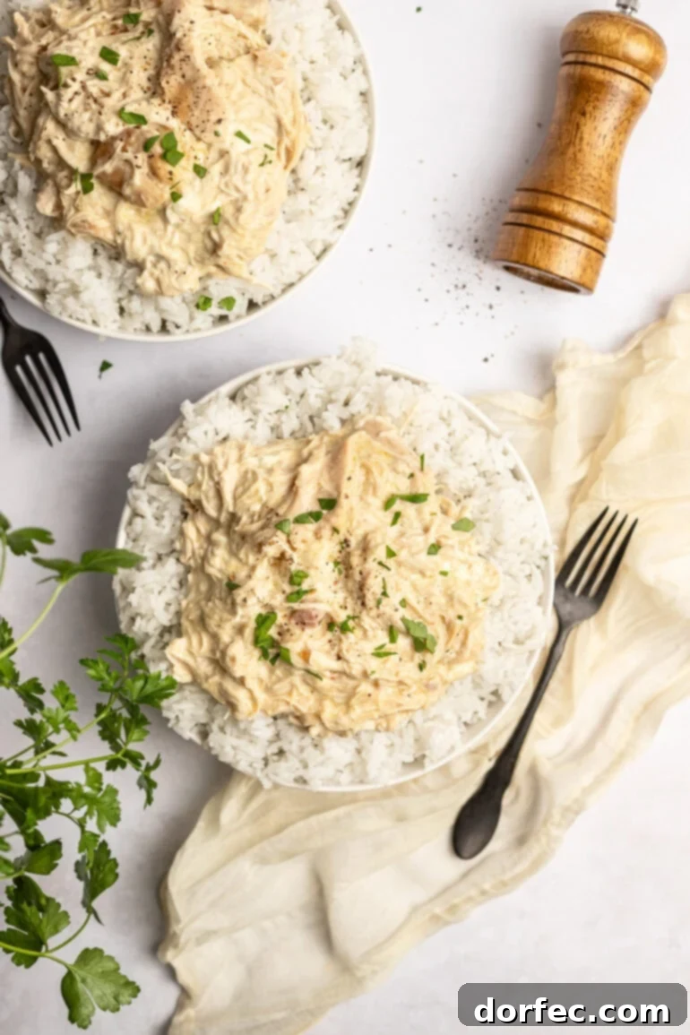 Easy 6-Ingredient Crockpot Chicken and Rice 5 White bowl filled with shredded creamy chicken over rice, topped with parsley.