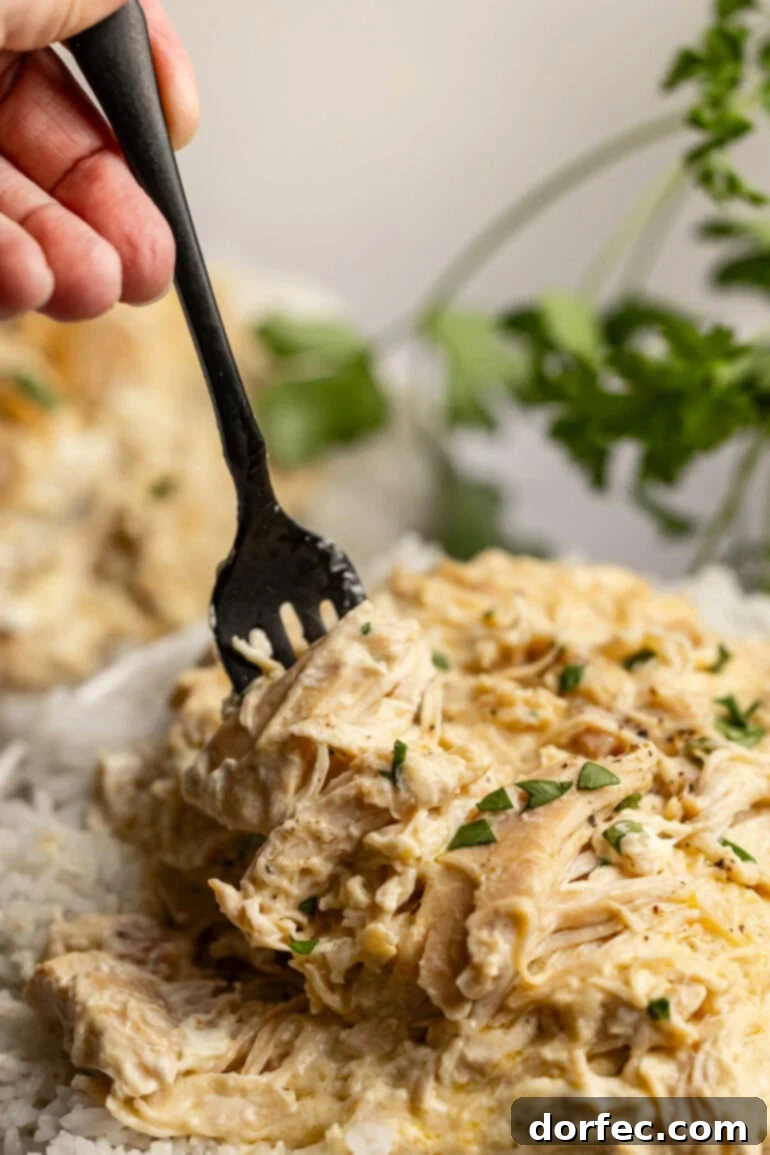 Easy 6-Ingredient Crockpot Chicken and Rice 6 Side angle view of creamy shredded chicken served hot on rice with parsley sprinkled on top.