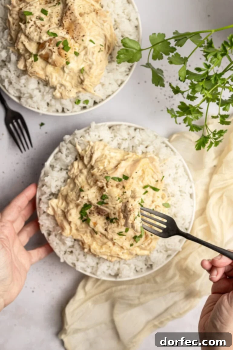 Easy 6-Ingredient Crockpot Chicken and Rice 7 Forkful of creamy shredded chicken held over a bowl with rice.