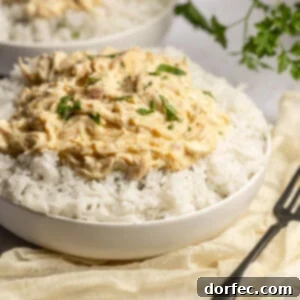 Easy 6-Ingredient Crockpot Chicken and Rice 8 img 4653 7