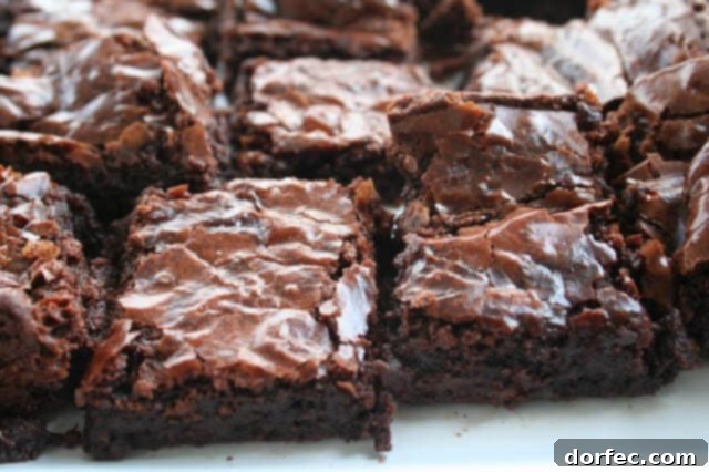 ina's outrageous brownies