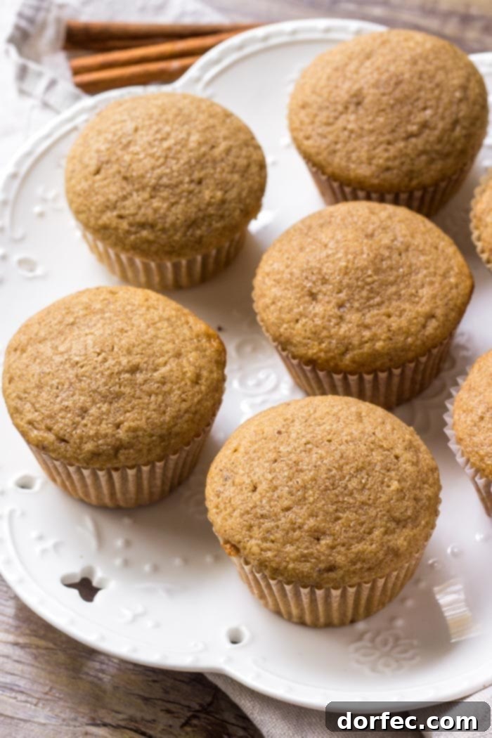 A beautifully arranged plate of moist, flavorful spice cake cupcakes, ready to be enjoyed.