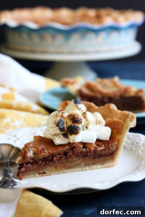 An inviting S'mores Bomb Pie from wildwildwhisk.com, featuring toasted marshmallows, melted chocolate, and graham cracker crust, evoking campfire memories.