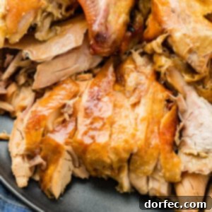 A perfectly cooked turkey in a bowl.
