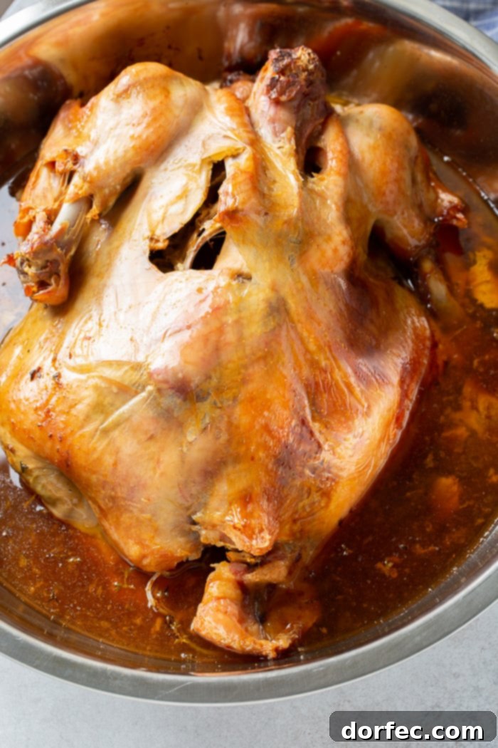 A golden-brown, perfectly cooked whole turkey resting in its own juices within a large metal mixing bowl, ready to be removed and served.